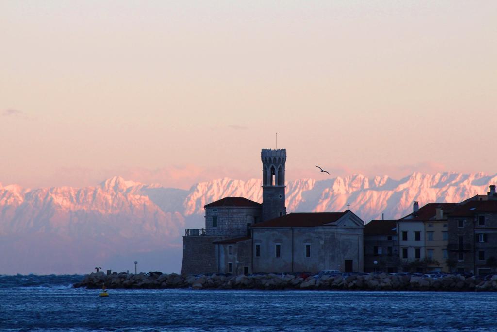 Terra Apartments Piran Eksteriør billede